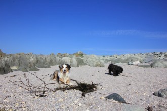 Tatezi und Wuschi :-)
